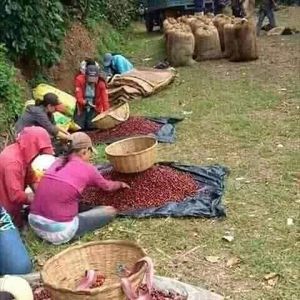 Meet your Posher, Amory